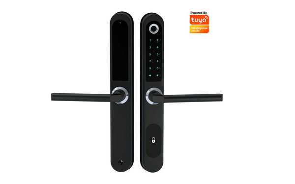 JYF-E04P WIFI TUYA Lock black