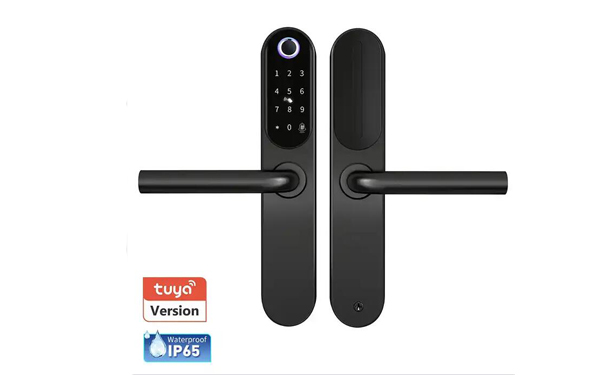 IP65 European mortise Tuya App Smart Fingerprint Door Lock