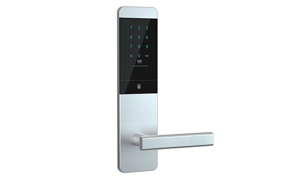 Hotel apartment ttlock rfid card password room Door Lock