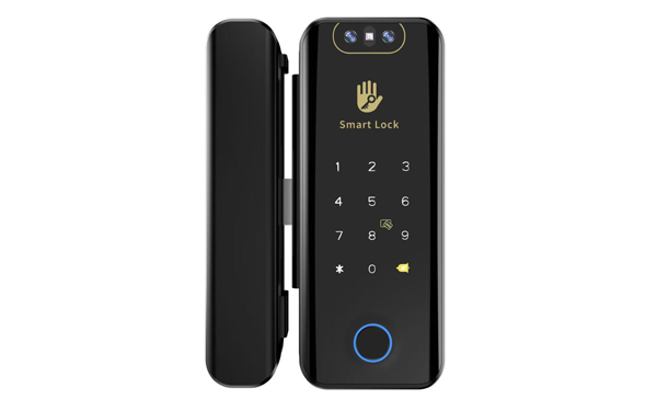 Face Recognition Glass Door Lock
