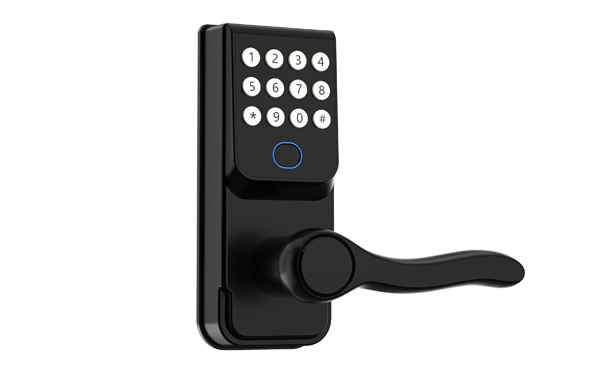 Fingerprint Smart door lock with TTlock or Tuya Ble APP