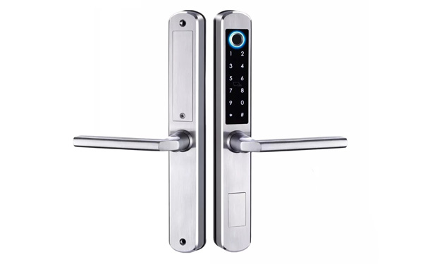 Waterproof TTlock/Tuya ble App fingerprint rfid card door lock