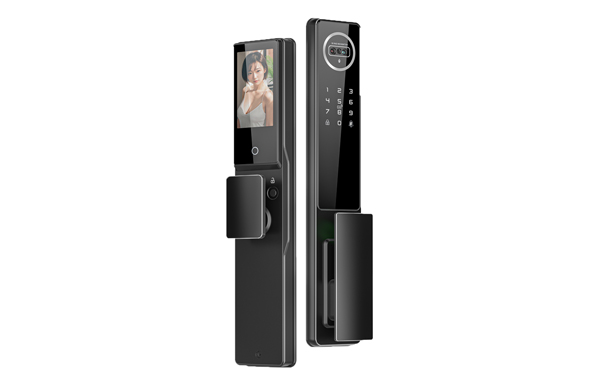 WiFi Tuya Face Recognition Door lock