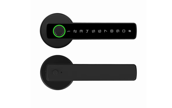 Tuya TTlock App Smart Fingerprint Handle Door Lock